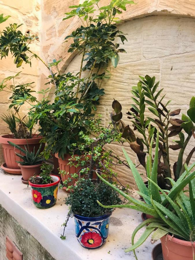 250 Yo Tal-Bambinu Boutique Farmhouse Xagħra Eksteriør bilde